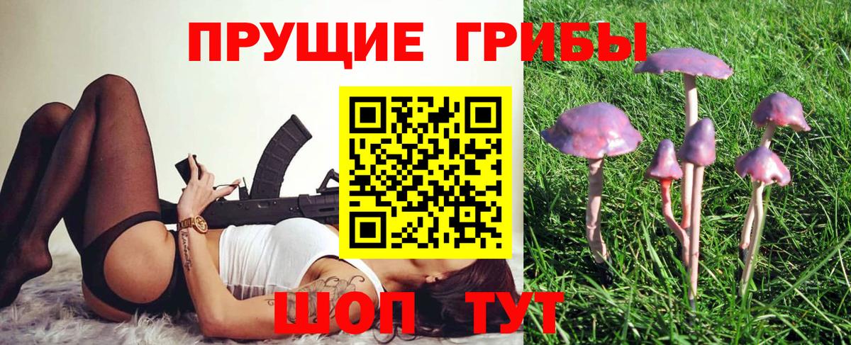 Псилоцибиновые грибы прущие грибы Усинск
