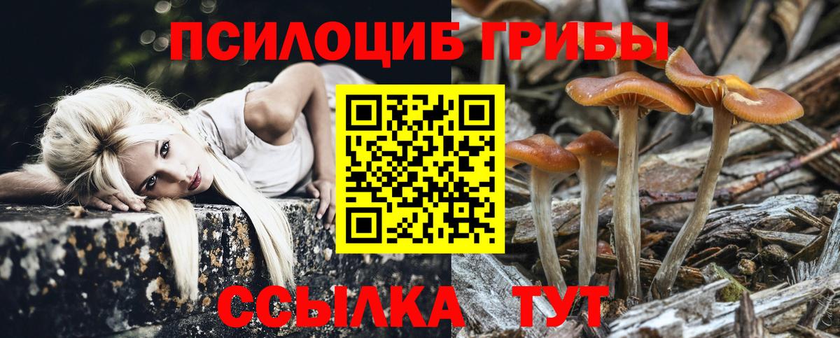 Псилоцибиновые грибы Psilocybine cubensis  Галлюциногенные грибы GOLDEN TEACHER  Усинск  купить наркотик  Вход с VPN 